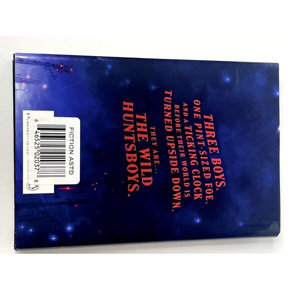 The Wild Huntsboys Martin Stewart Hardcover Fantasy Adventure Book - Picture 5 of 5